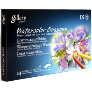 Mungyo Watercolor Pastel Crayon (24 Colors)