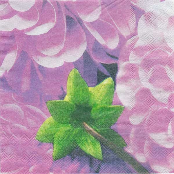 A pack of 12 by 12 inch Decoupage Napkins(5 pcs) - Floral Design 6