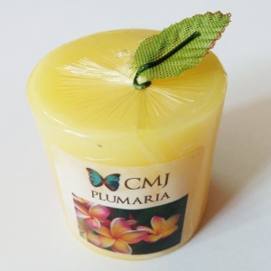 Aromatic Pillar Candles - Plumaria (Small)