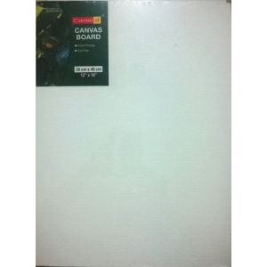 Camlin Canvas Board - 12" X 16"