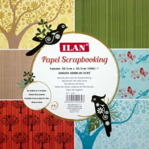 Ilan 12 by 12 Paper Pack - BirdSong (Set of 6 sheets)