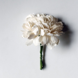 Carnation Flowers - White