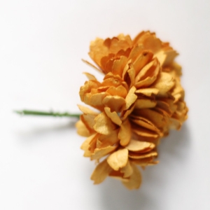 Carnation Flowers - Dark Yellow (Pack of 10 flowers)