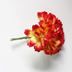 Carnation Flowers - Red and Yellow (Pack of 10 flowers)