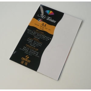 Canson Mi-Teintes A4 colour sheets 160gsm - Lily 110