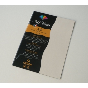 Canson Mi-Teintes A4 colour sheets 160gsm - Ivory 111