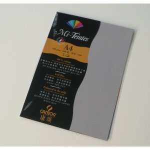 Canson Mi-Teintes A4 colour sheets 160gsm - Flannel Grey 122