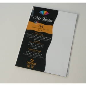 Canson Mi-Teintes A4 colour sheets 160gsm - White 335