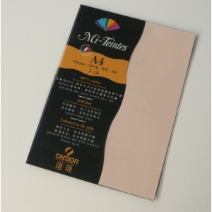 Canson Mi-Teintes A4 colour sheets 160gsm - Honeysuckle 350