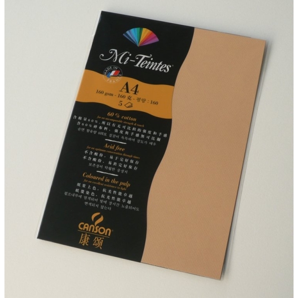 Canson Mi-Teintes A4 colour sheets 160gsm - Hemp 374