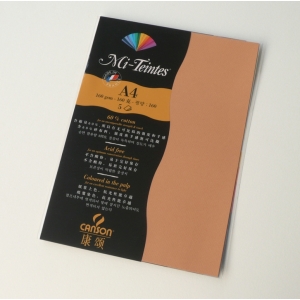 Canson Mi-Teintes A4 colour sheets 160gsm - Buff 384