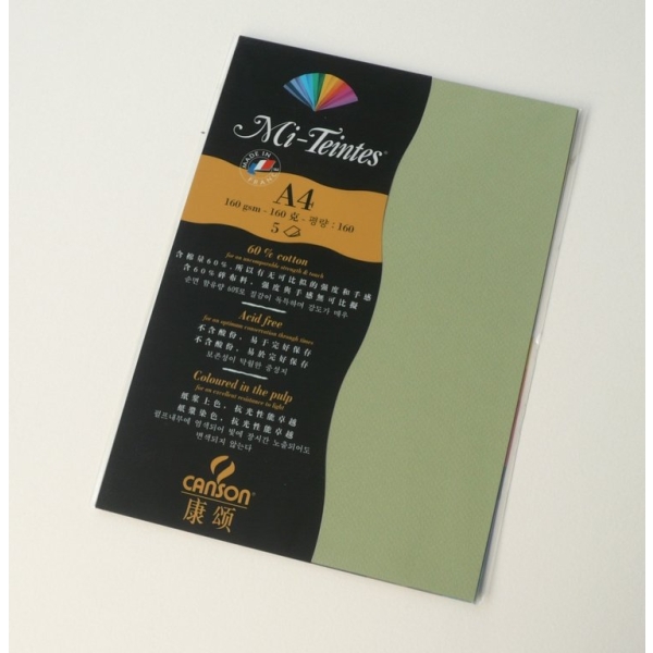 Canson Mi-Teintes A4 colour sheets 160gsm - Light Green 480