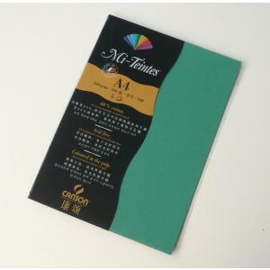 Canson Mi-Teintes A4 colour sheets 160gsm - Viridian 575