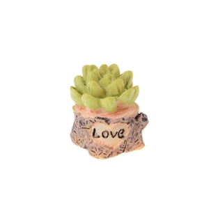 Miniatures - Succulent (Plant)