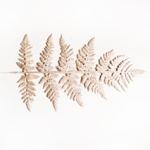 Glitter Fern Leaves- Champagne (Pack of 3)