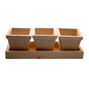 Wooden Pen Stand Set/ Flower pot set