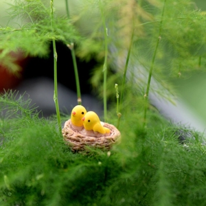 Miniatures - Birds Nest