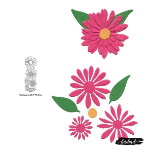 Steel Dies - Flowers (Set of 6 dies) (XY1189)