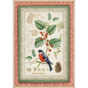 Stamperia Rice Paper A4 - Winter botanic little bird on Holly