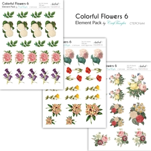 CrafTangles Elements Pack - Colorful Flowers 6 (3 sheets of A4)