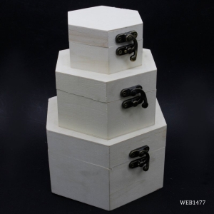 Hexagon Wooden Boxes (Set of 3)