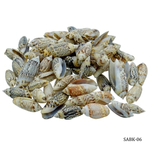 Craft Shells (100 grams) (SABK-06)