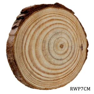 Natural Wooden Slices 7 cm - single piece (RWP7CM)