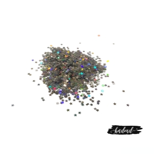 Craft Star Sequins - Holographic Silver