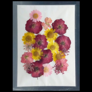 YW-22_dried_flowers_resin_1