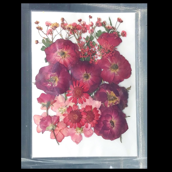 YW-23_dried_flowers_resin_1