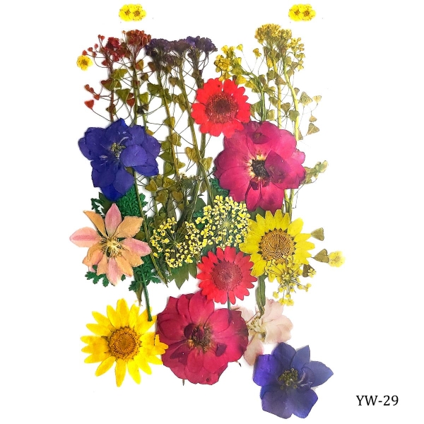 Dried Flowers (30 pcs) - YW-29