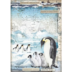 Stamperia Rice Paper A4 - Penguins, Arctic Antarctic