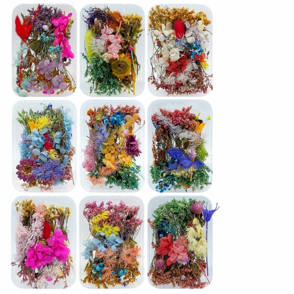 dried_flowers_YW-1BOX_1