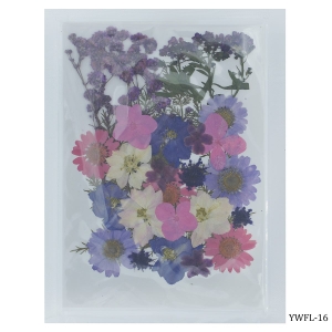 Dried Flowers (30 pcs) - YWFL-16