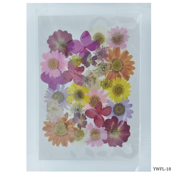 Dried Flowers (30 pcs) - YWFL-18