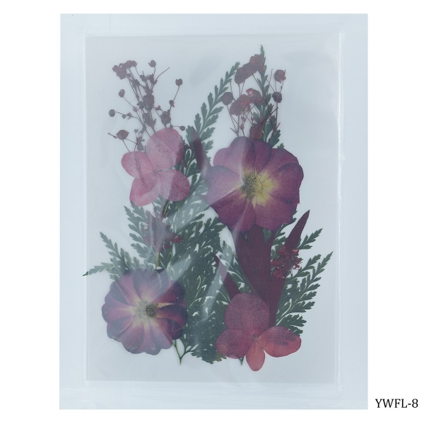 Dried Flowers (12 pcs) - YWFL-8