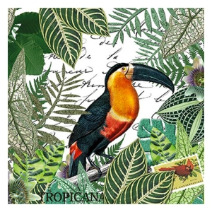 German Decoupage Napkins (5 pcs) - Tropicana