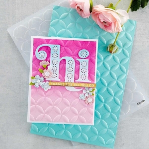 spellbinder_3d_embossing_folders_E3D-029_1