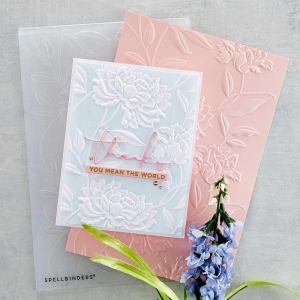 E3D-026_spellbinder_embossing_folder_1