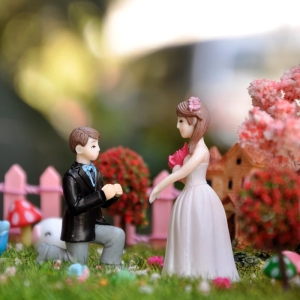 Miniatures - Wedding Proposal